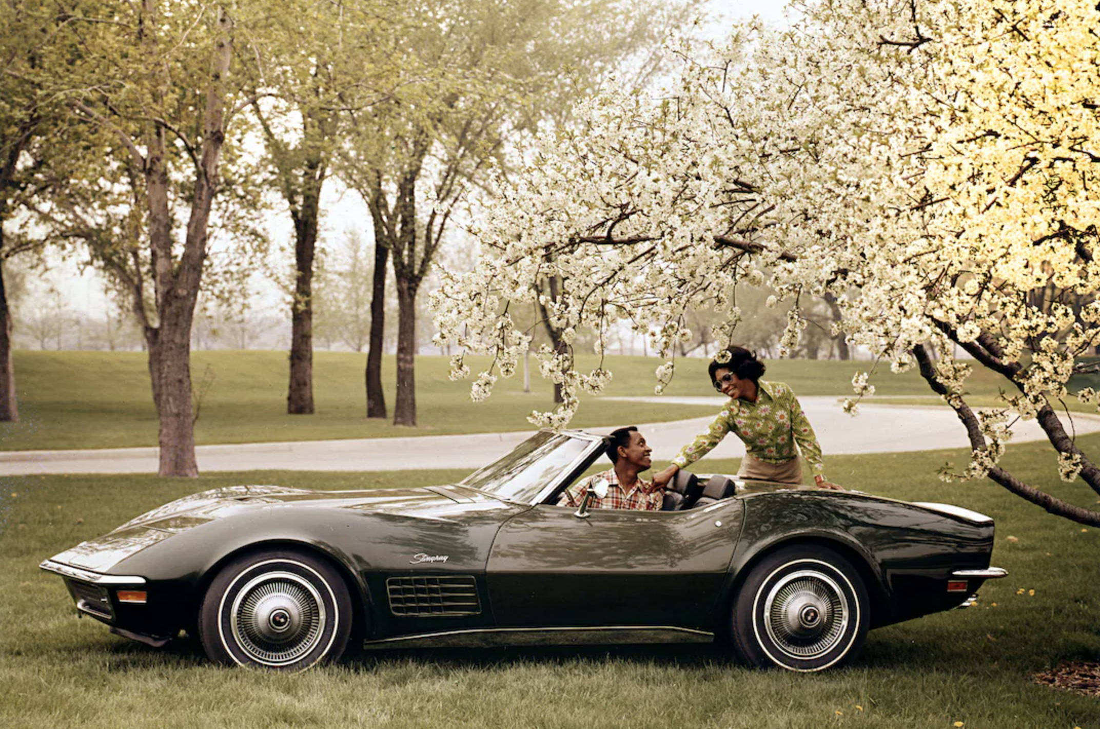 C3 corvette in a park