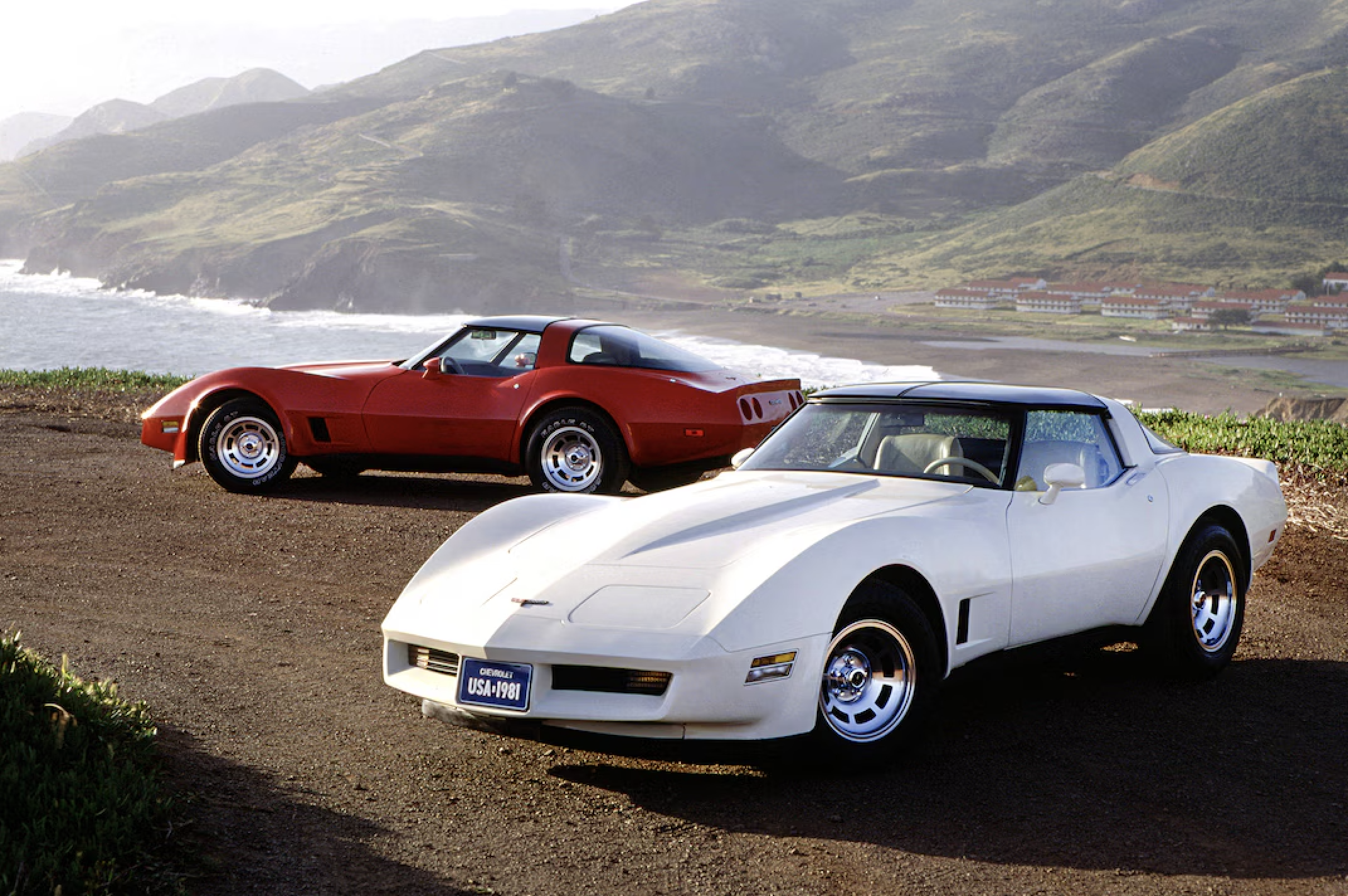 white and red c3 corvettes